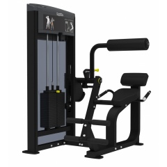 AeroFit IF9332 Разгибание спины из каталога грузоблочных тренажеров в Волгограде по цене 309100 ₽