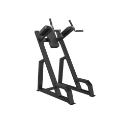 Svensson Industrial E3047 Matte Black из каталога стоек турник брусья-пресс в Волгограде по цене 46990 ₽
