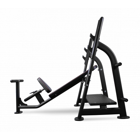 Рендер-6 для Bronze Gym BR-1014 наклонная