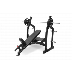 Bronze Gym AL-305 наклонная из каталога скамей со стойкой в Волгограде по цене 84690 ₽