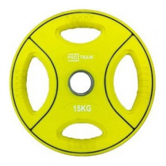 Protrain DB6092-15 (д=50 мм) из каталога дисков для штанги с посадочным диаметром 50 мм. в Волгограде по цене 7980 ₽
