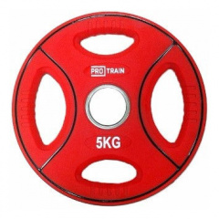 Protrain DB6092-5 (д=50 мм) из каталога дисков для штанги с посадочным диаметром 50 мм. в Волгограде по цене 2660 ₽