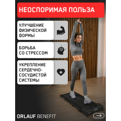 12 слайд галлереи