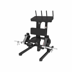 UltraGym UG-714 из каталога тренажеров на свободных весах в Волгограде по цене 149405 ₽