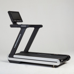Koenigsmann F2.0 из каталога беговых дорожек в Волгограде по цене 241830 ₽