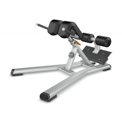 Precor Discovery Line DBR312 из каталога гиперэкстензий в Волгограде по цене 227800 ₽