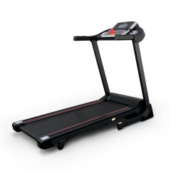 74305B в Волгограде по цене 49300 ₽ в категории беговые дорожки Everyfit