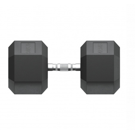 Рендер-5 для UnixFit гексагональная 47.5 кг