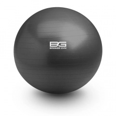 Bronze Gym 55 см Anti-Burst BG-FA-GB55 из каталога фитболов  в Волгограде по цене 1140 ₽