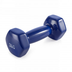 VictoryFit 2 кг. 1 шт. VF-DV020 из каталога виниловых гантелей в Волгограде по цене 660 ₽