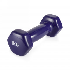 VictoryFit 1 кг. 1 шт. VF-DV010 из каталога виниловых гантелей в Волгограде по цене 330 ₽