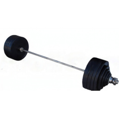 ProfyGym ШП-004 рекордная олимпийская 282.5 в наборе из каталога штанг в Волгограде по цене 158605 ₽