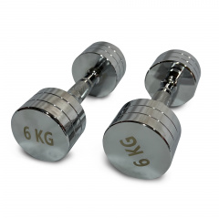 UnixFit PRO круглая 6 кг DBRND6PCE из каталога хромированных гантелей в Волгограде по цене 3290 ₽