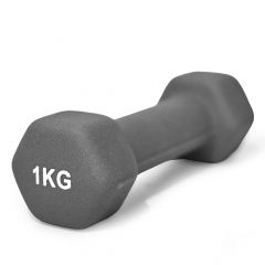 UnixFit 1 кг Grey DBNEO1GY из каталога неопреновых  гантелей в Волгограде по цене 599 ₽