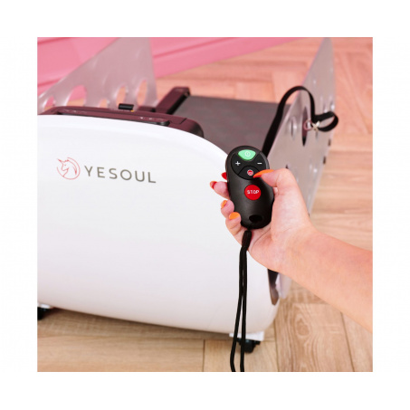 Рендер-18 для Yesoul для собак