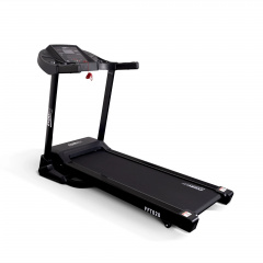 FFT020 в Волгограде по цене 55760 ₽ в категории беговые дорожки Everyfit