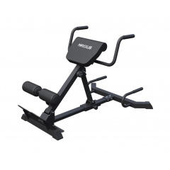 DFC MAXXUS GSMX-600417-00019-0001 из каталога тренажеров для спины  в Волгограде по цене 21990 ₽