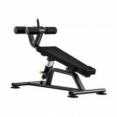 Bronze Gym RAVE RE51 из каталога скамей для пресса в Волгограде по цене 90950 ₽