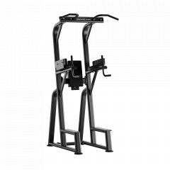 Bronze Gym RAVE RE60 из каталога стоек турник брусья-пресс в Волгограде по цене 141950 ₽