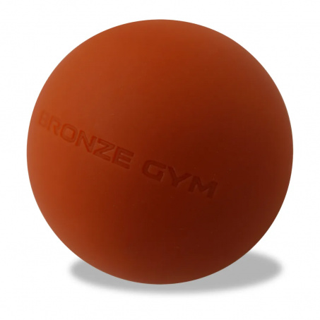 Рендер-2 для Bronze Gym 3 шт. BG-FA-MBS