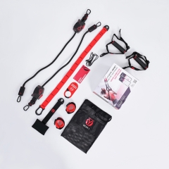 HYROPE HyGear Gear 1 из каталога комплексов для кроссфита и функционального тренинга в Волгограде по цене 11990 ₽