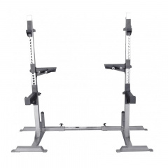 Protrain Rising AX1029 из каталога стоек для штанги в Волгограде по цене 52250 ₽