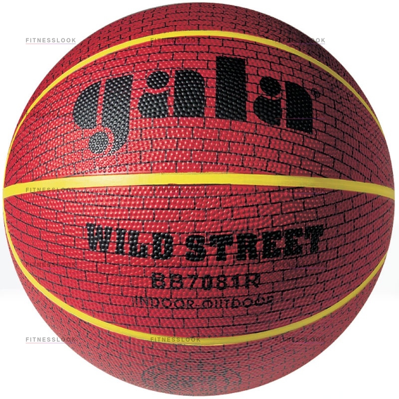 Gala Wild Street 7 из каталога баскетбольных мячей в Волгограде по цене 990 ₽