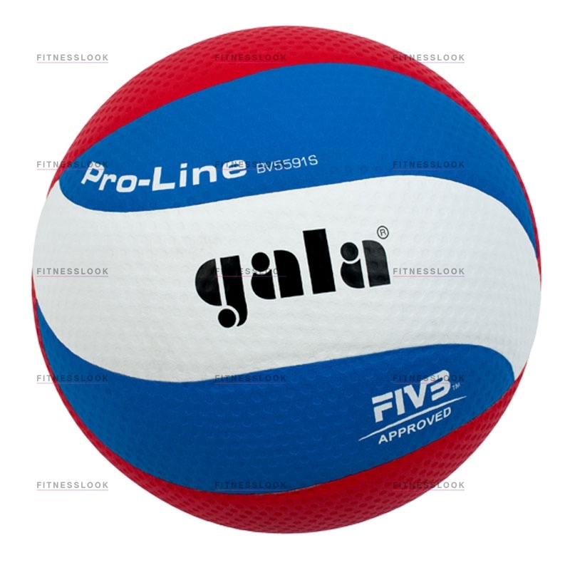 Pro-line в Волгограде по цене 3030 ₽ в категории баскетбольные мячи Gala