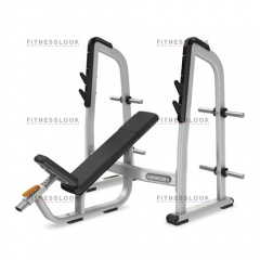 Precor DBR410 - со стойками из каталога скамей со стойкой в Волгограде по цене 138130 ₽