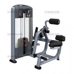 Precor DSL313 - разгибание спины из каталога грузоблочных тренажеров в Волгограде по цене 444810 ₽