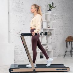 Svensson Body Labs Spacetech (Amberlight) из каталога беговых дорожек в Волгограде по цене 63990 ₽