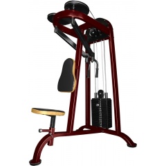ProfiGym ТГ-0040-CР (Rubin) - Задняя дельта из каталога грузоблочных тренажеров в Волгограде по цене 100390 ₽