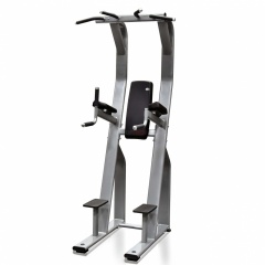 Protrain V8-304 из каталога стоек турник брусья-пресс в Волгограде по цене 126820 ₽